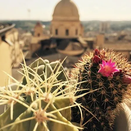 Della Gioventu - Il Castello Hostel *
